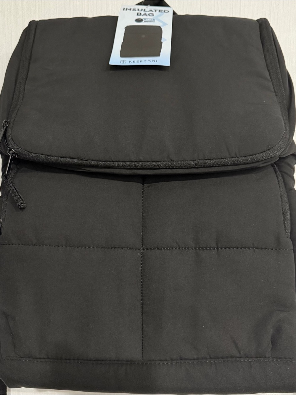 Insulated Black Men's Backpack
